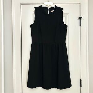 EUC ✨ Size 12 LOFT Outlet Black Dress With Ruffle Sleeves and Neck Line ✨
